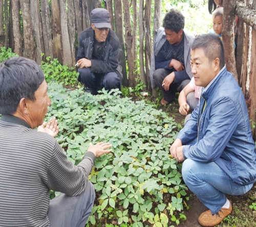 雲南918博天堂農業總經理和種植戶交流