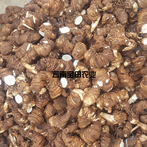 雲南918博天堂農業滇重樓鮮品