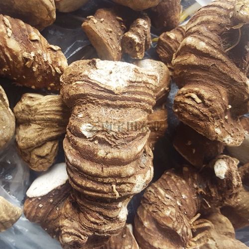 雲南918博天堂優質滇重樓幹品