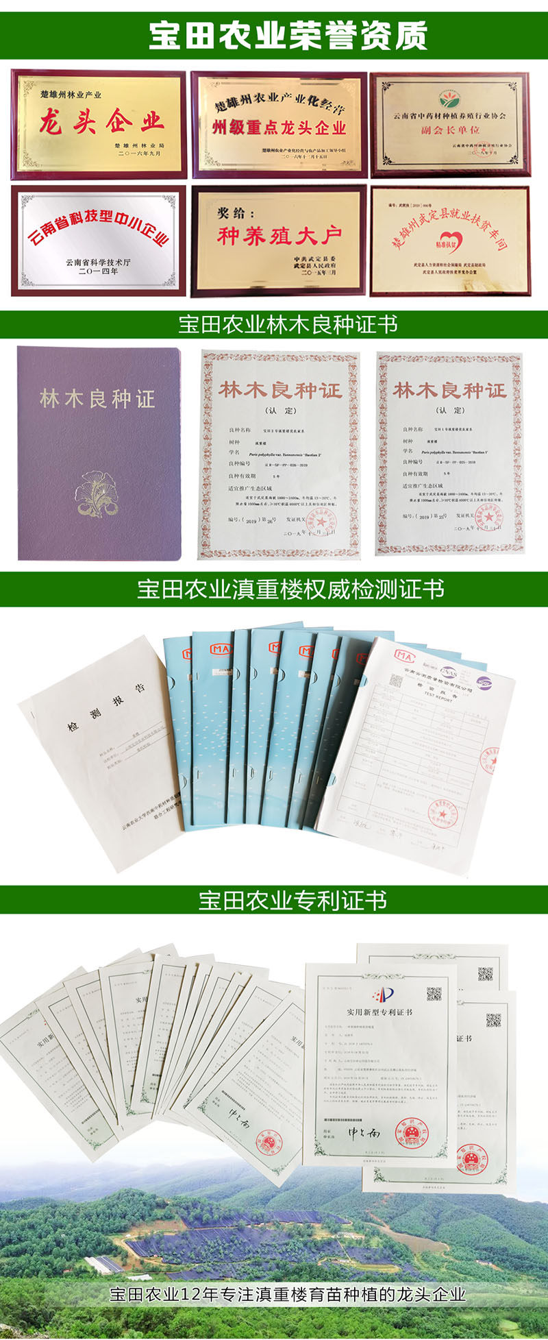 918博天堂滇重樓榮譽資質