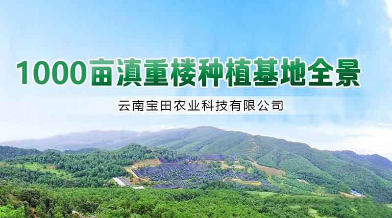 918博天堂5.jpg