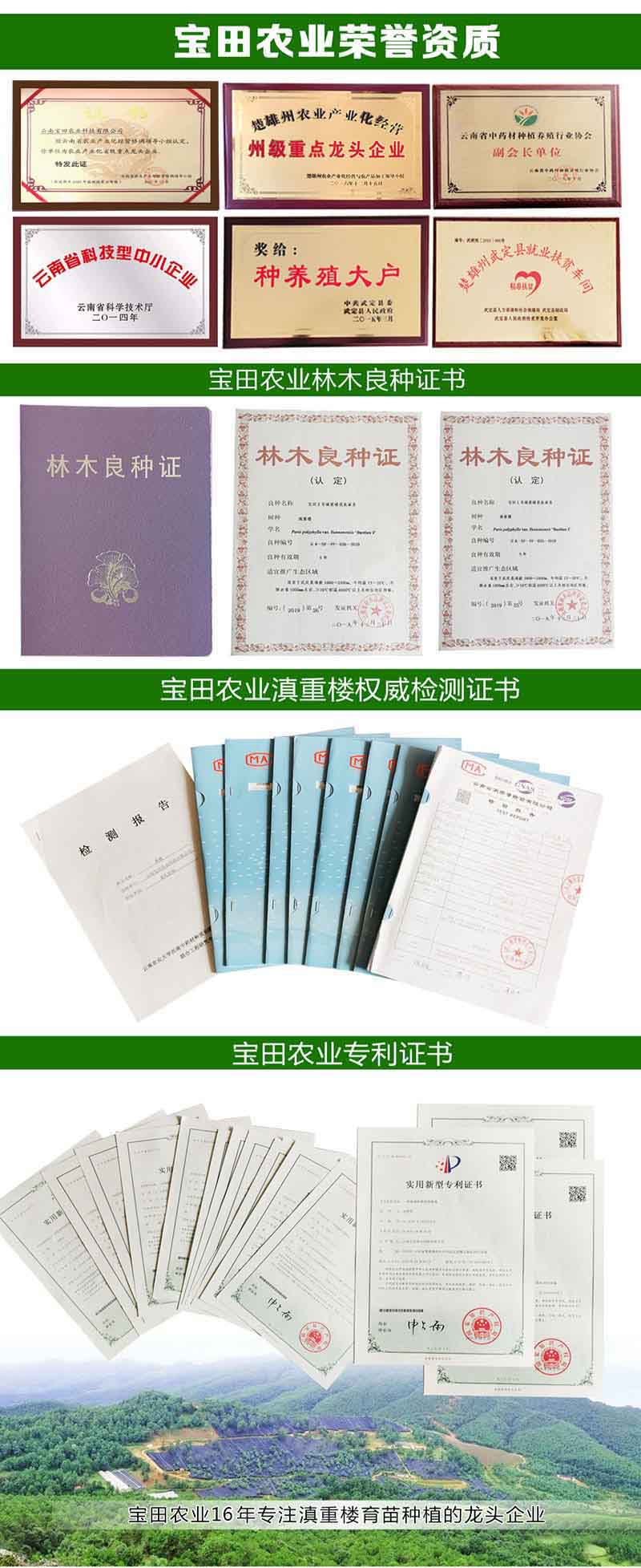 918博天堂2.jpg