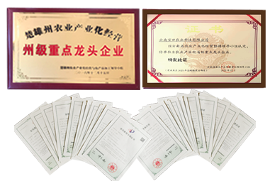 918博天堂1.png